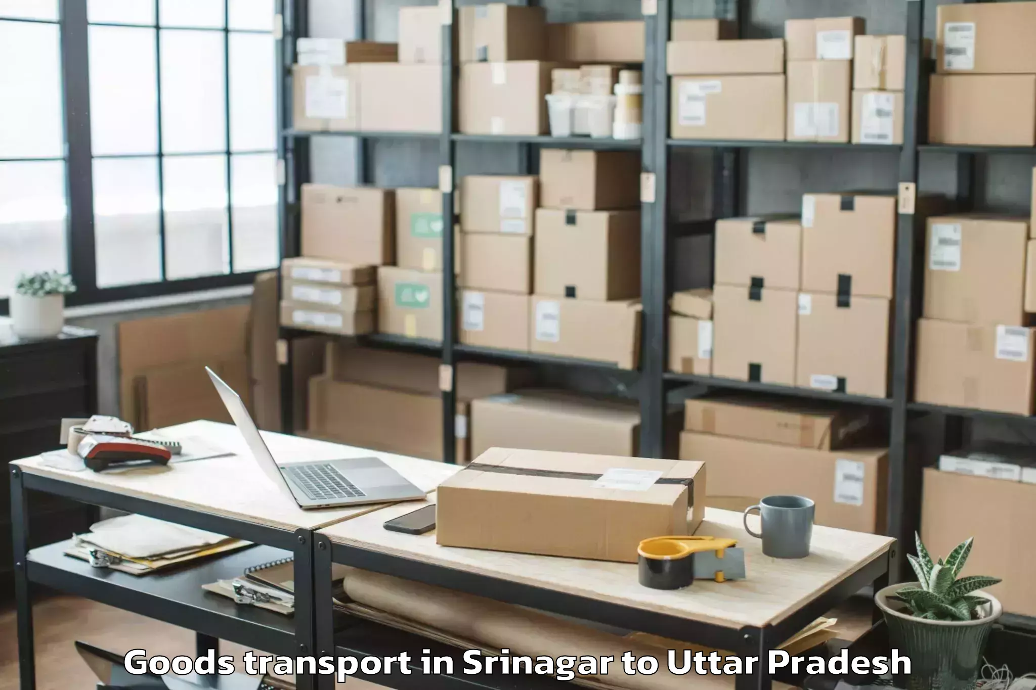 Comprehensive Srinagar to Uttar Pradesh University Of Me Goods Transport